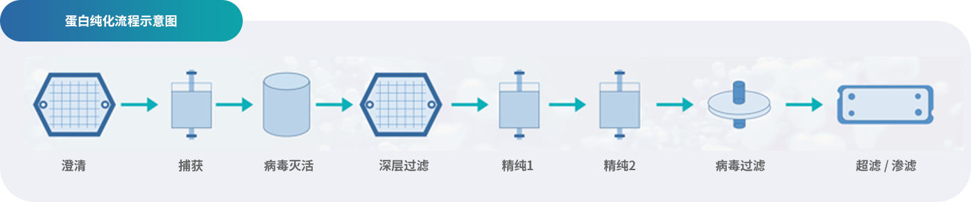 4-下游蛋白纯化工艺开发-2.png