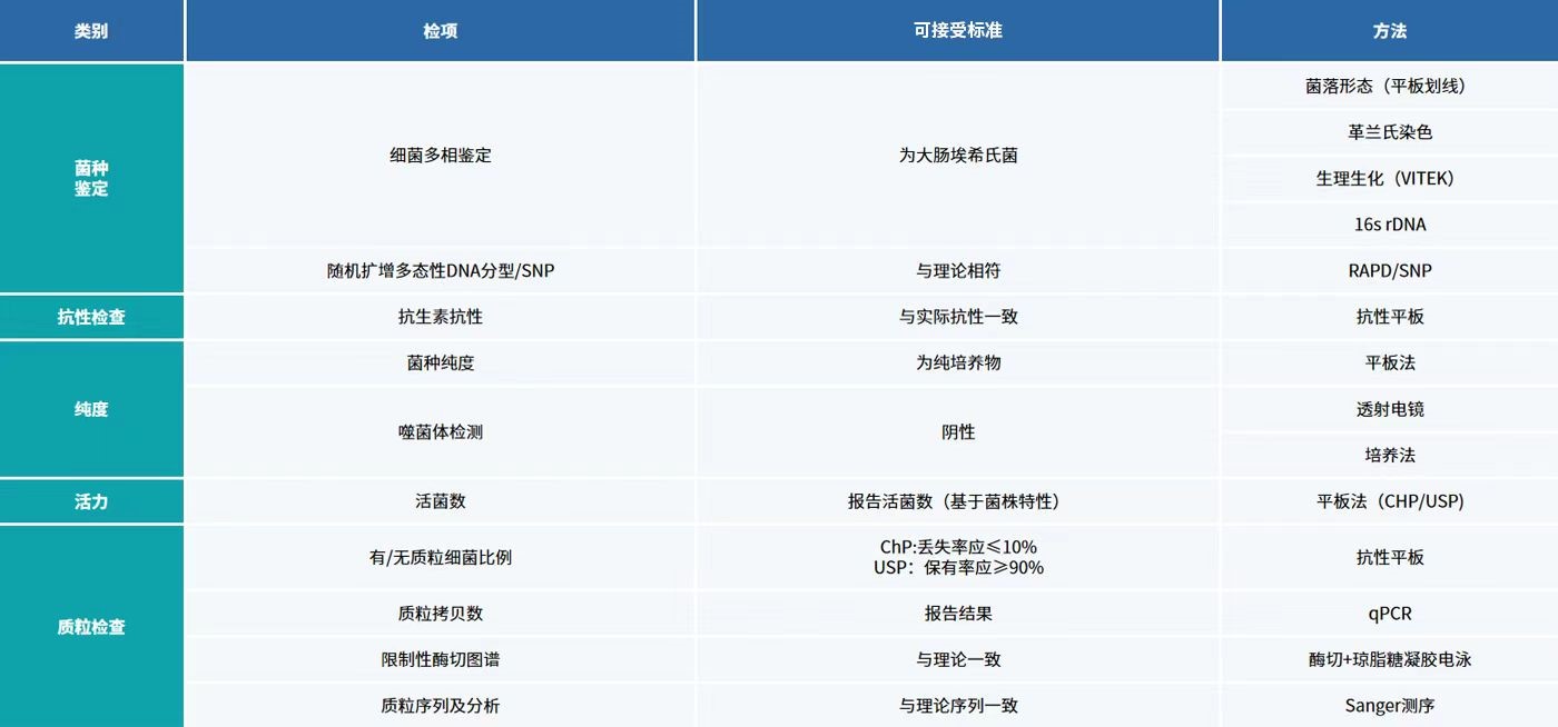 12-工程菌库建立与检定.jpg