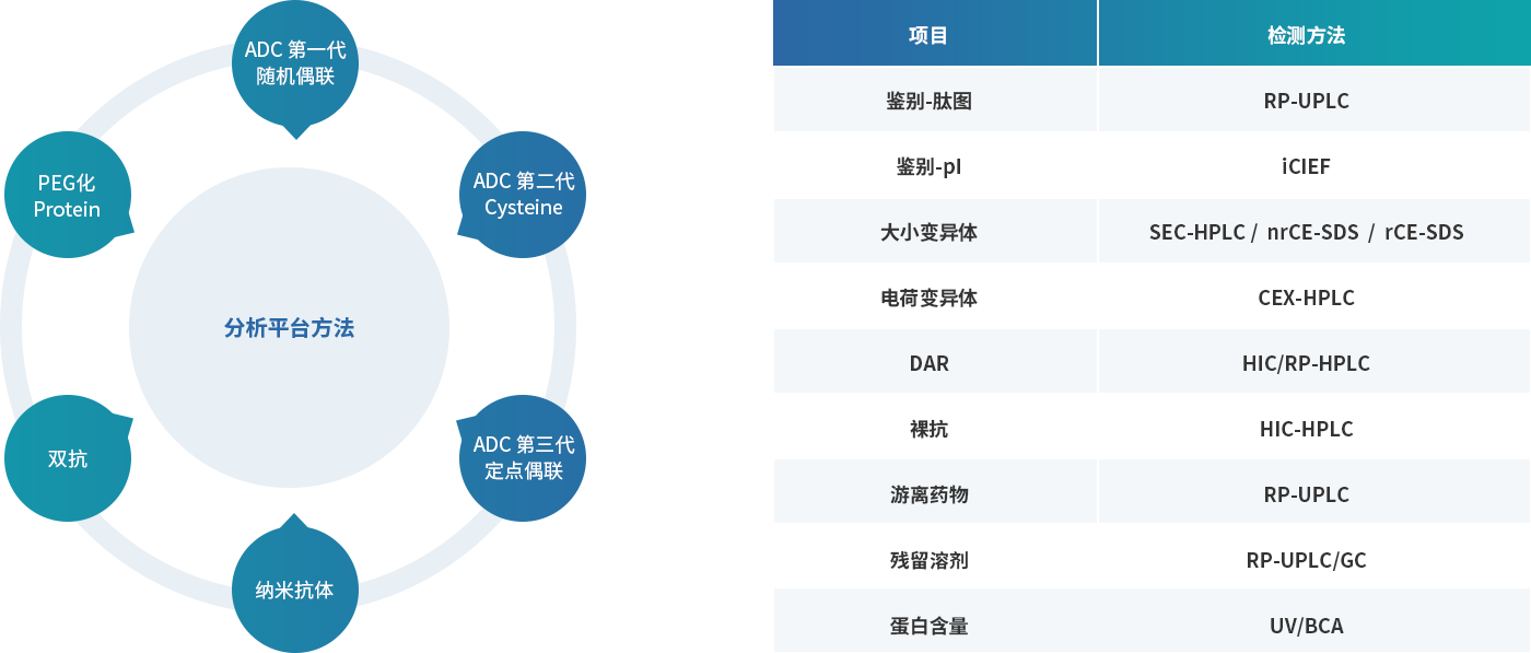 18-蛋白和偶联药物理化分析.png